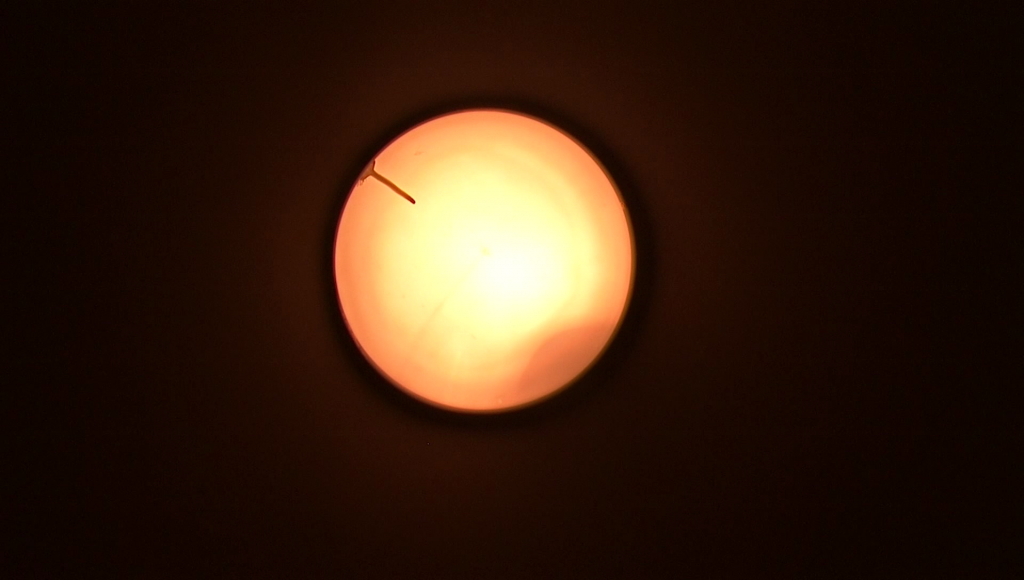 vlcsnap-2010-04-17-21h20m46s125